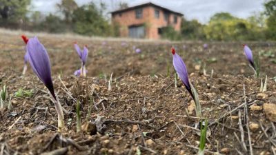 UNESCO Dünya Mirası Listesi’nde yer alan ve Karabük’ün Safranbolu ilçesiyle