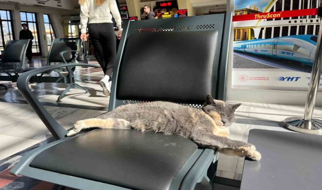 Dışarıdaki soğuk havadan korunmak için tren garı bekleme salonuna sığınan