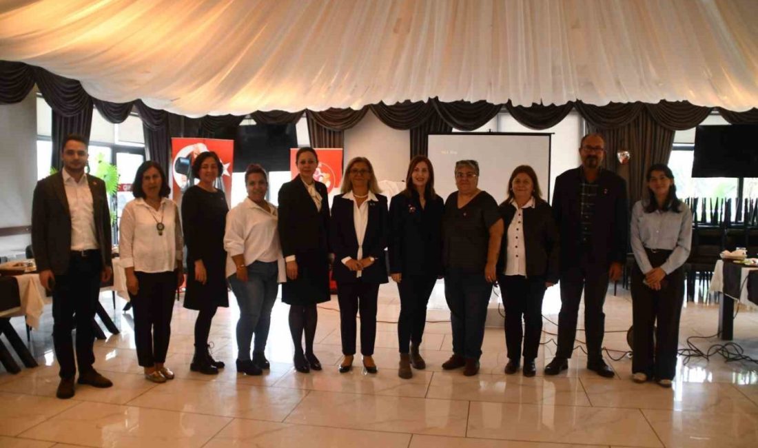 Söke Kent Konseyi, çalışmalarını değerlendirmek ve kamuoyunu bilgilendirmek amacıyla faaliyet