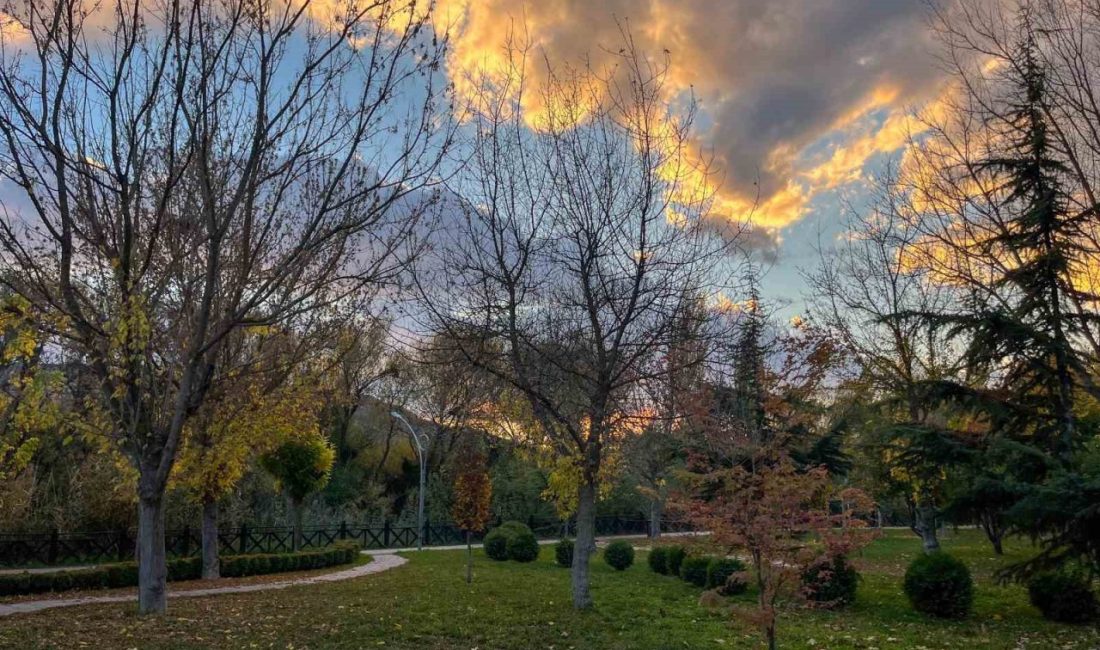 Eskişehir’de sonbahar mevsiminin gelmesiyle birlikte sararan yaprakların oluşturduğu masal gibi