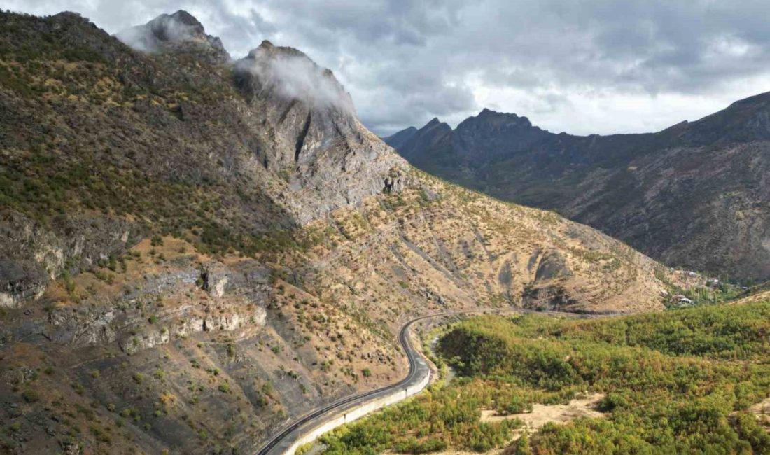 Şırnak’ta son bahar ayları ile beraber meşe ormanlarında yapraklar sararmaya