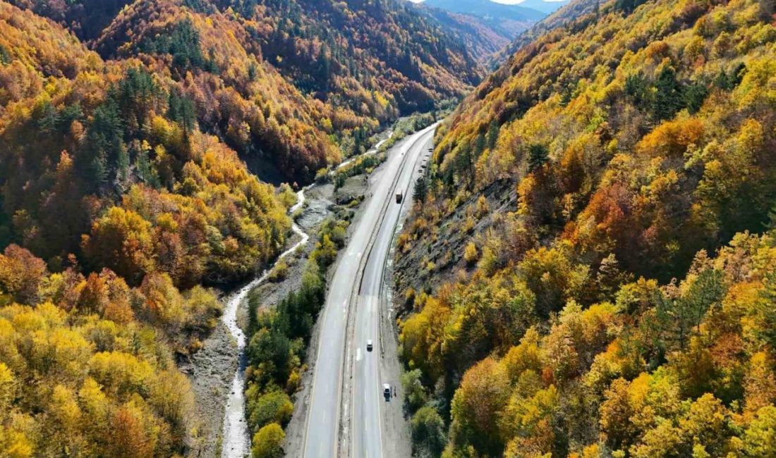Kastamonu’da sonbaharda renk cümbüşünün yaşandığı ormanlar, görenleri hayran bırakıyor. Kastportallık