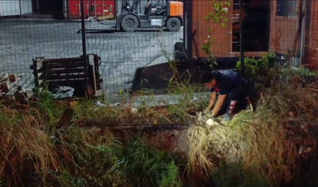 Su kanalına düşen kedi itfaiye ekiplerince kurtarıldı Hatay’ın İskenderun ilçesinde su kanalına düşen kedi, itfaiye ekiplerinin hızlı