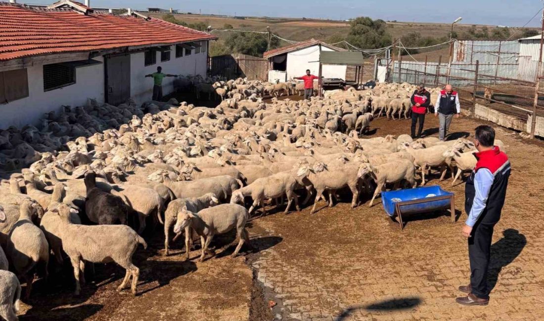 Tekirdağ Tarım ve Orman İl Müdürü Mehmet Aksoy, Çorlu ilçesi