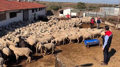 Tekirdağ Tarım ve Orman İl Müdürü Mehmet Aksoy, Çorlu ilçesi