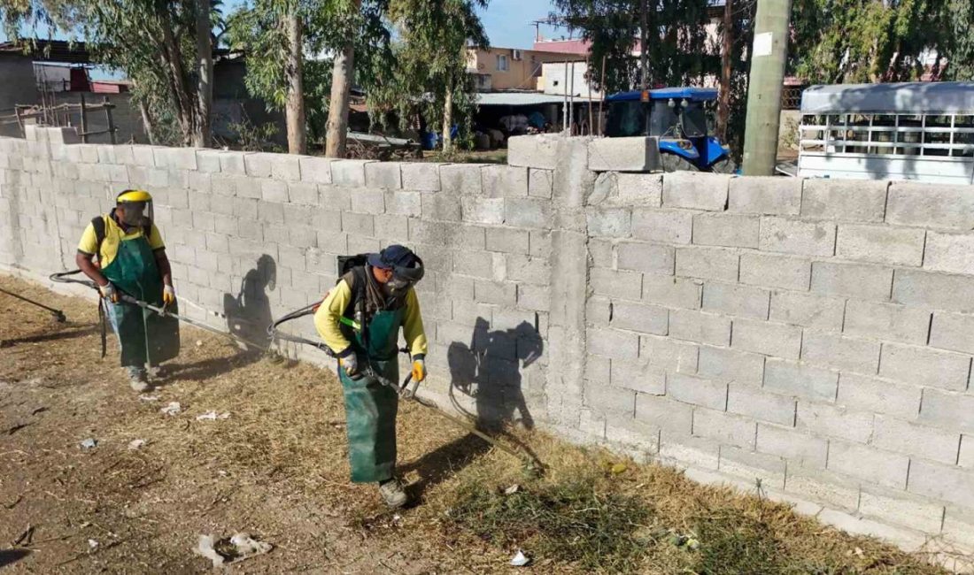 Tarsus Belediyesi Park ve Bahçeler Müdürlüğü ekipleri, Çöplü Mahallesi’nde çim