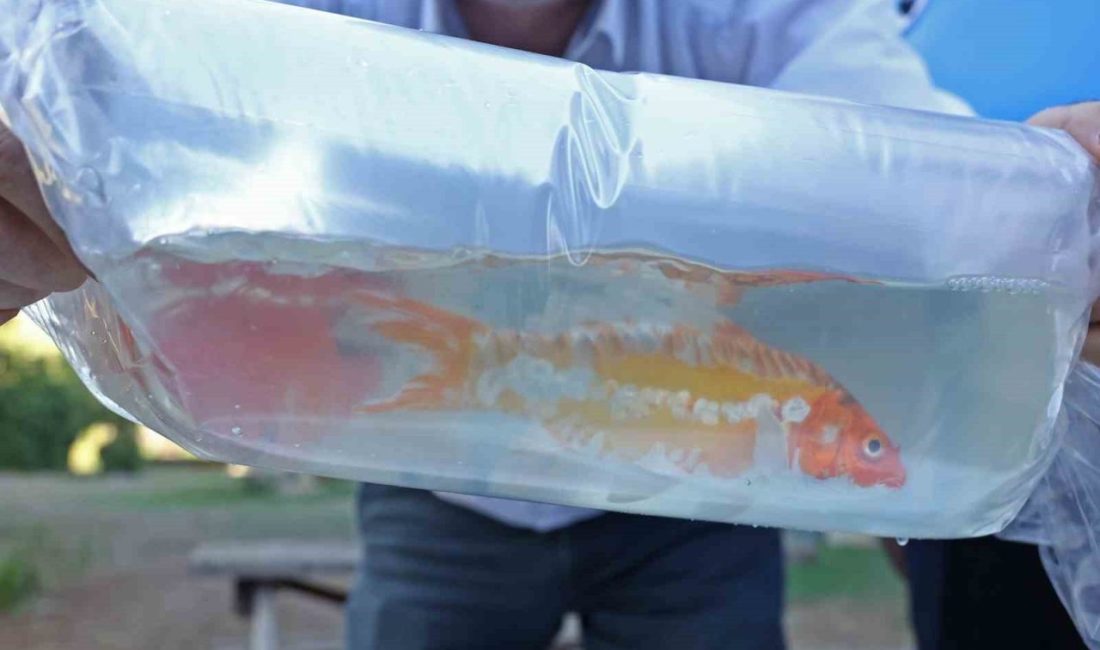 Antalya Büyükşehir Belediyesi Zabıta ekipleri, Antalya Şehirlerarası Otobüs Terminali’nde gerçekleştirdiği