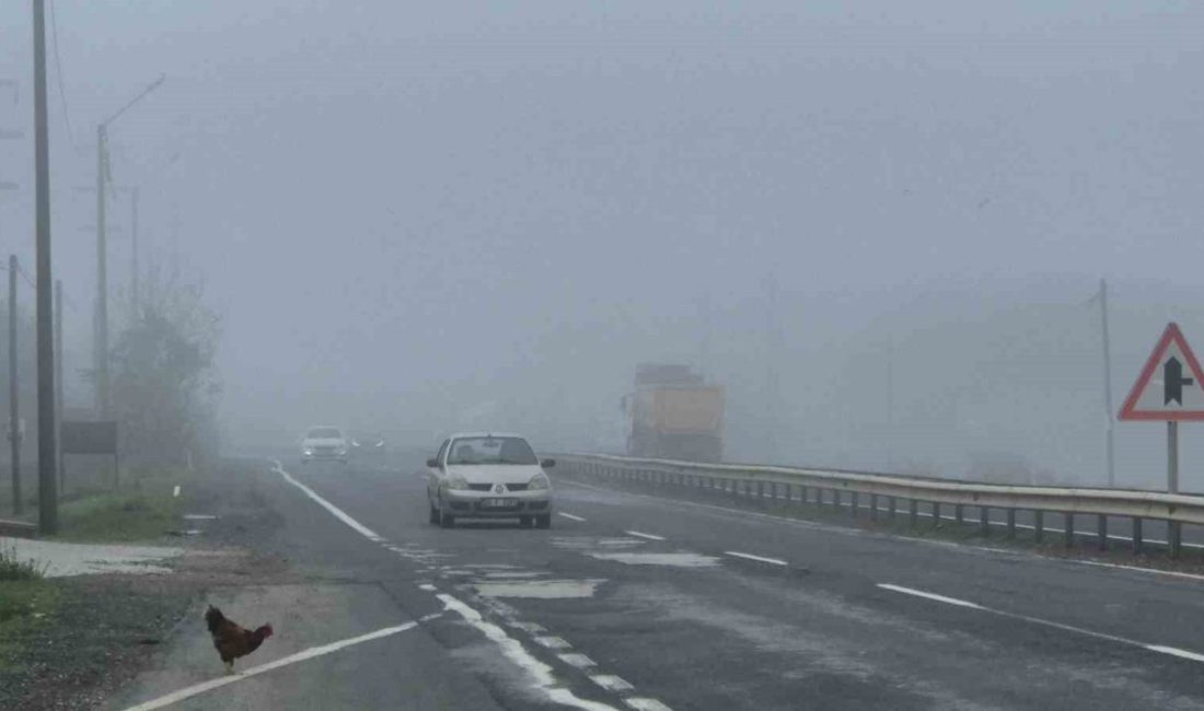 Tekirdağ-Muratlı karayolunda sabah saatlerinde etkili olan yoğun sis, sürücülere zor