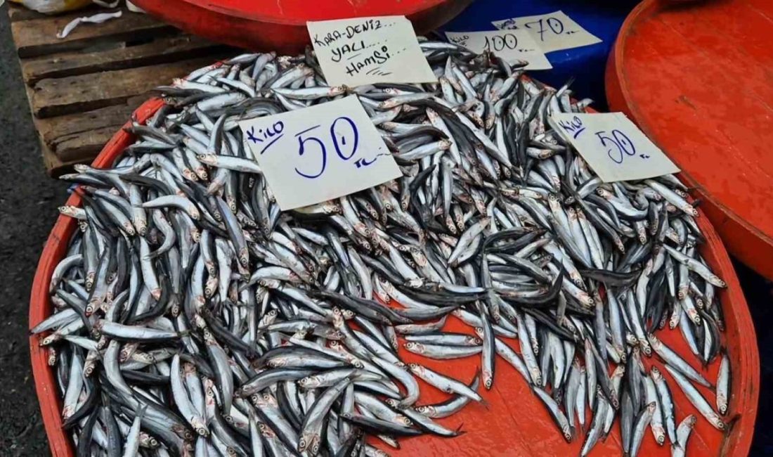 Tekirdağ’ın Süleymanpaşa ilçesinde hamsinin kilosu akşam pazarında 50 liraya kadar