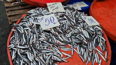 Tekirdağ’ın Süleymanpaşa ilçesinde hamsinin kilosu akşam pazarında 50 liraya kadar