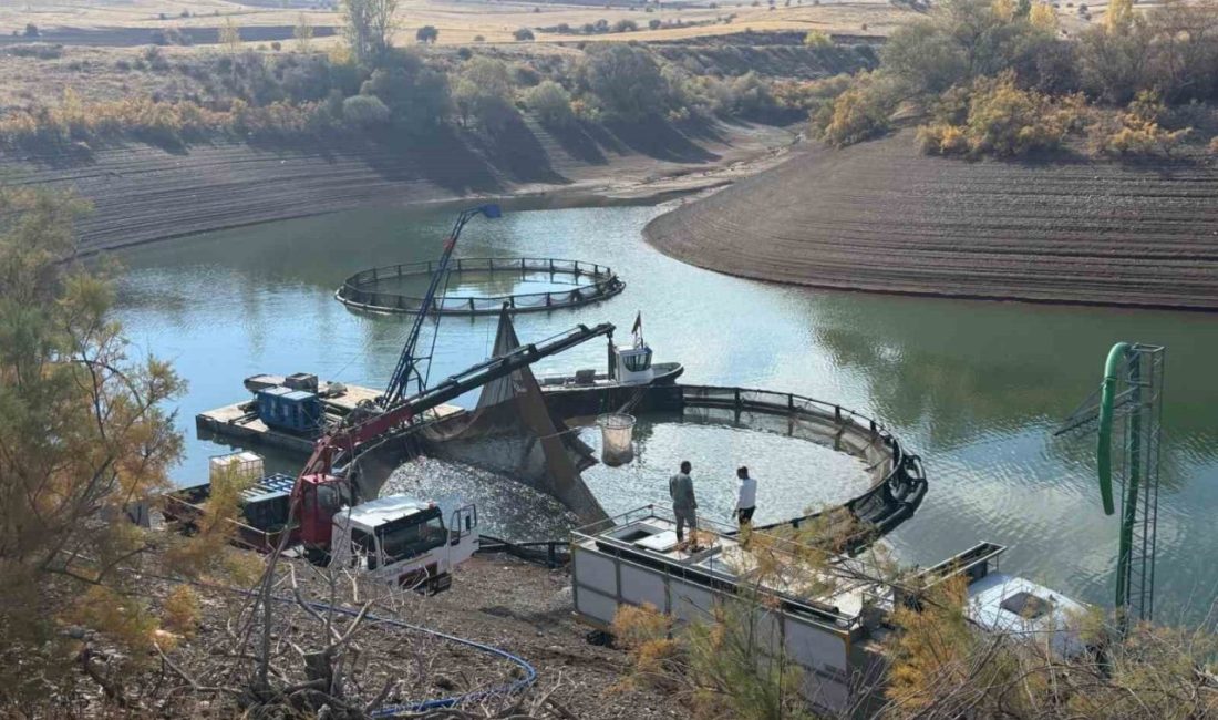 Erzincan’ın Tercan ilçesi sınırlarında bulunan, ilçe merkezine yaklaşık 5 kilometre