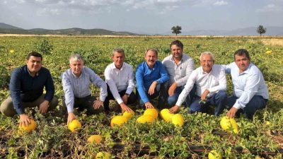 Denizli’nin Acıpayam ilçesinde yetişen ve uygun fiyatıyla tüketicisini memnun eden