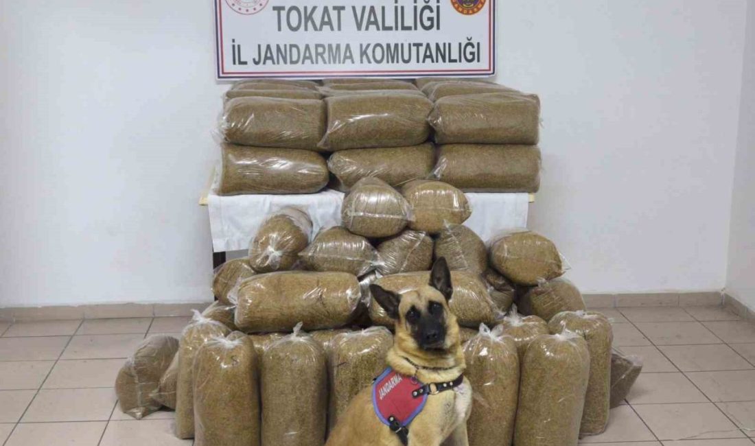 Tokat’ta 340 kilo kaçak tütün ele geçirildi Tokat İl Jandarma Komutanlığı ekipleri, kaçak tütün ürünleri satışına yönelik
