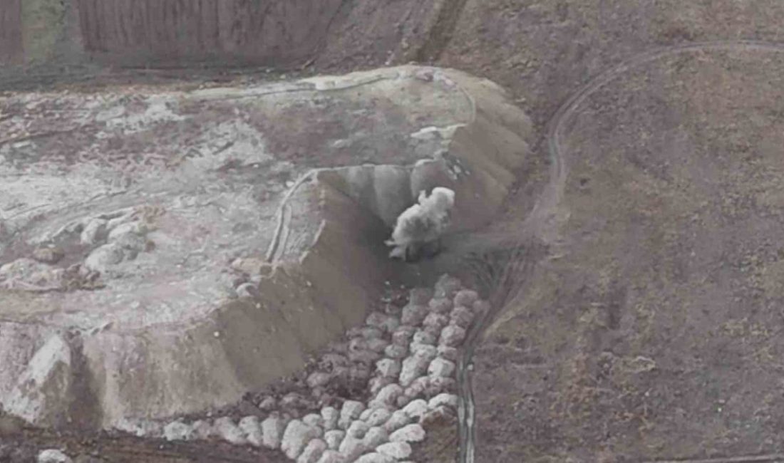 Erzurum Valisi Mustafa Çiftçi, Aziziye İlçesi’nde bulunan 2. OSB 3.