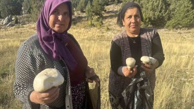 Antalya’nın Akseki ilçesinde etkili olan yağışların ardından ormanlık alanlarda ve