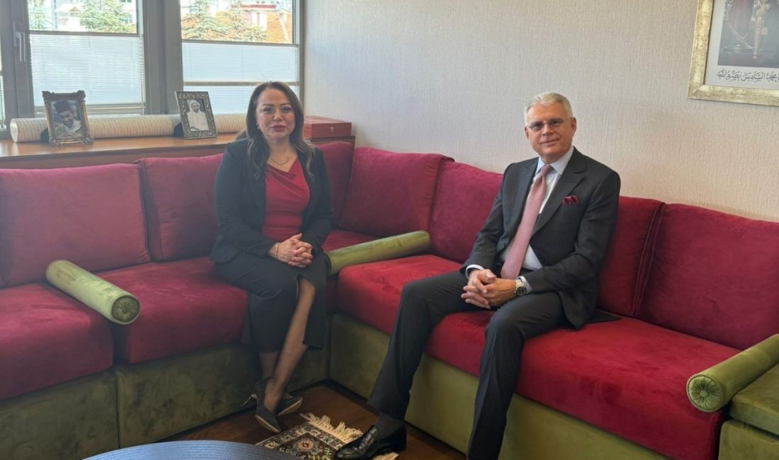 Sağlık Turizmi Konfederasyonu (SATKOF) Genel Başkanı Prof. Dr. Aysun Bay