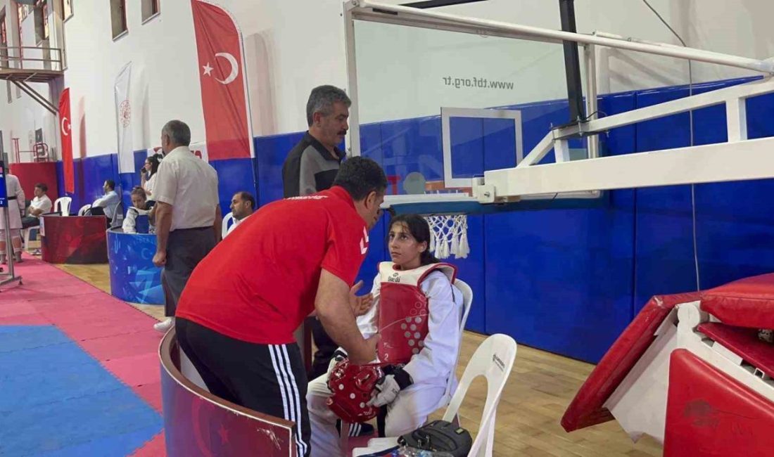 Türkiye Taekwondo Federasyonu’nun 2025 yılı faaliyet programında yer alan Türkiye