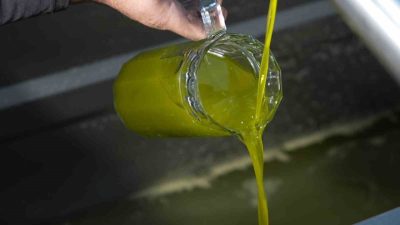 Ayvalık Ticaret Odası Başkanı Ali Uçar, Türkiye genelinde satılan zeytinyağının