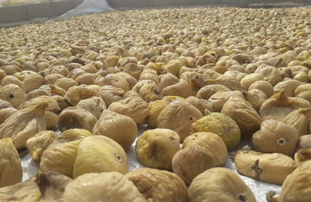 Türkiye’nin milli meyvesi olarak adlandırılan ve coğrafi işaret tesciline sahip