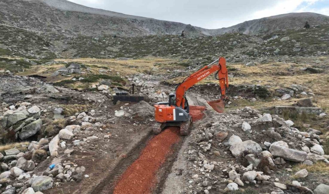 Büyükşehir Belediyesi tarafından Uludağ’ın Kırkpınar bölgesinde ömrünü tamamlayan 32 yıllık