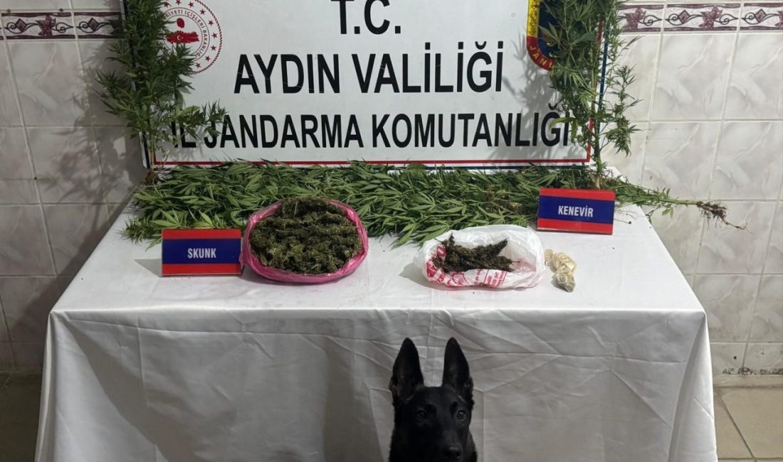 Aydın’ın Nazilli ilçesinde jandarma ekipleri tarafından yapılan operasyonda 498 gram