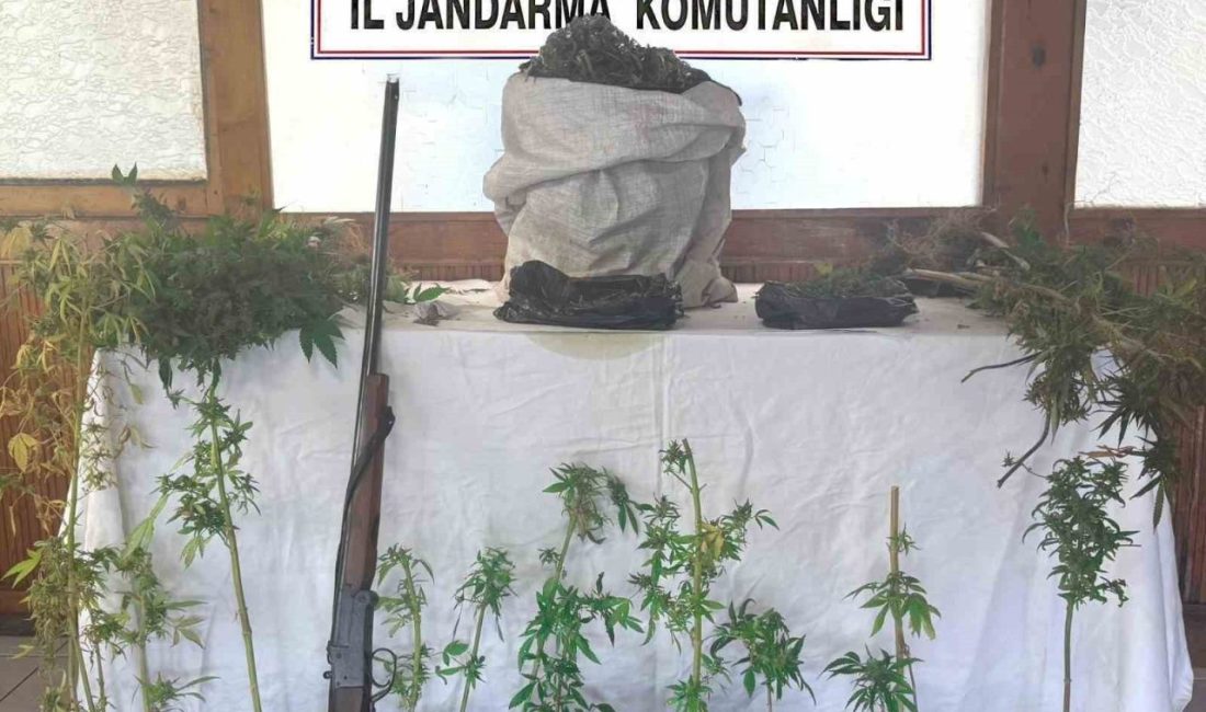 Uyuşturucu üreten şüpheli yakalanıp tutuklandı Mersin’de yasadışı kenevir ekimi yapan şüpheli, 4 kilo 870 gram