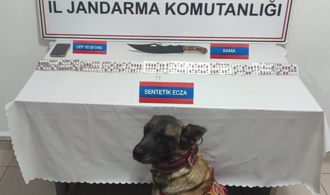 Üzerinde 170 adet uyuşturucu hapla yakalandı Yozgat’ta durdurulan şüpheli şahsın üzerinden uyuşturucu hap çıktı. Edinilen bilgiye