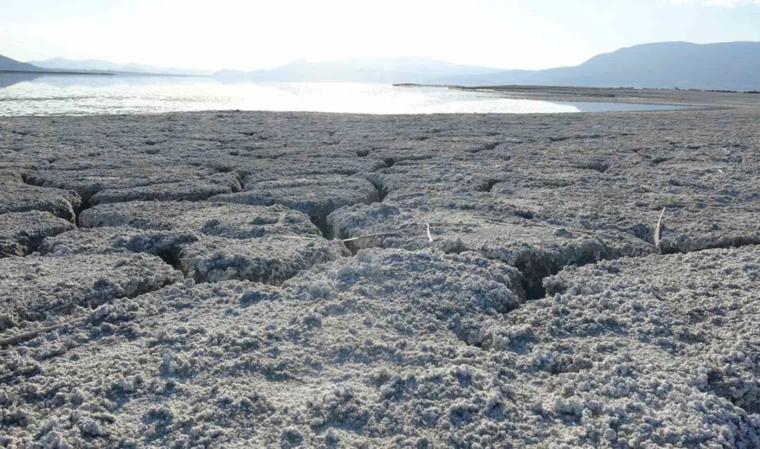 Akdeniz Üniversitesi’nden Prof. Dr. Erdal Koşun ve Burdur Mehmet Akif