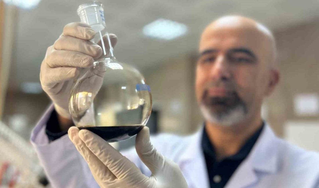 Van Yüzüncü Yıl Üniversitesi’nde (Van YYÜ) görevli akademisyenler tarafından yürütülen