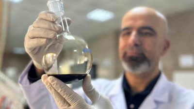 Van Yüzüncü Yıl Üniversitesi’nde (Van YYÜ) görevli akademisyenler tarafından yürütülen