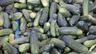 Hava sıcaklıklarının düşmesiyle beraber mutfaklarda kış hazırlıkları başlarken, vatandaşlar kış