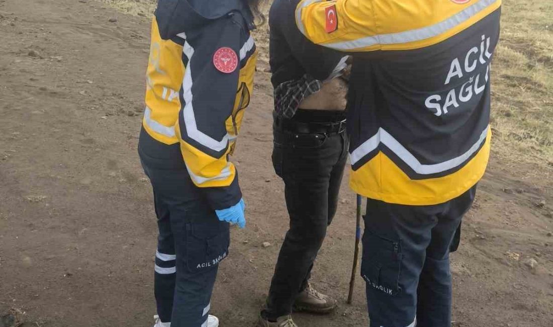 Elazığ’ın Karakoçan ilçesinde hayvan otlatan sürü sahibi, yanına yıldırım düşmesi