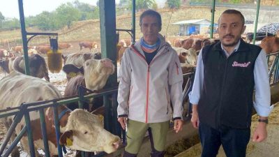 Marmara Bölgesi’nde ilk kez Bursa’nın Yenişehir ilçesinde bir süt sağım