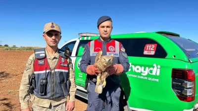 Kilis’in Elbeyli ilçesi Sağlıcak köyü yol kenarında, jandarma ekipleri tarafından