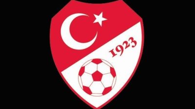 TFF 2. Lig Kırmızı Grup ekiplerinden Yeni Malatyaspor, Profesyonel Futbol