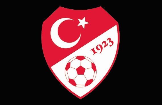 TFF 2. Lig Kırmızı Grup ekiplerinden Yeni Malatyaspor, Profesyonel Futbol