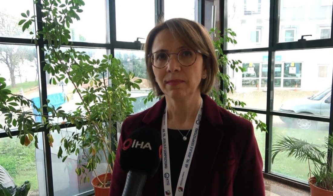 Doğu Karadeniz Bölgesi, sahip olduğu metalik maden yataklarıyla Türkiye’nin madencilik