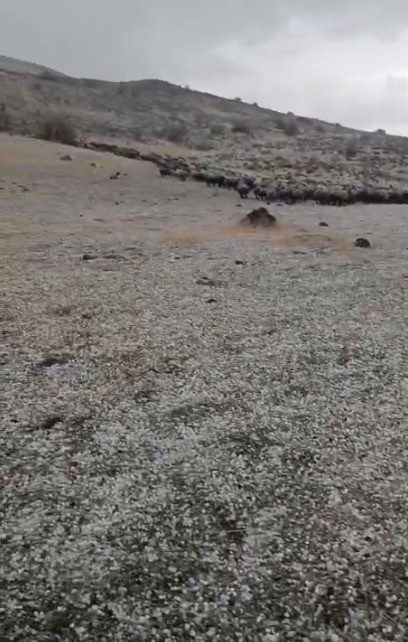 Elazığ’ın Karakoçan ilçesinde hayvan otlatan sürü sahibi, yanına yıldırım düşmesi