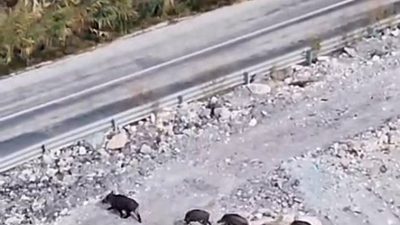 Hakkari’nin Yüksekova-Van kara yolu üzerinde yer alan Dibekli köyü yolunda