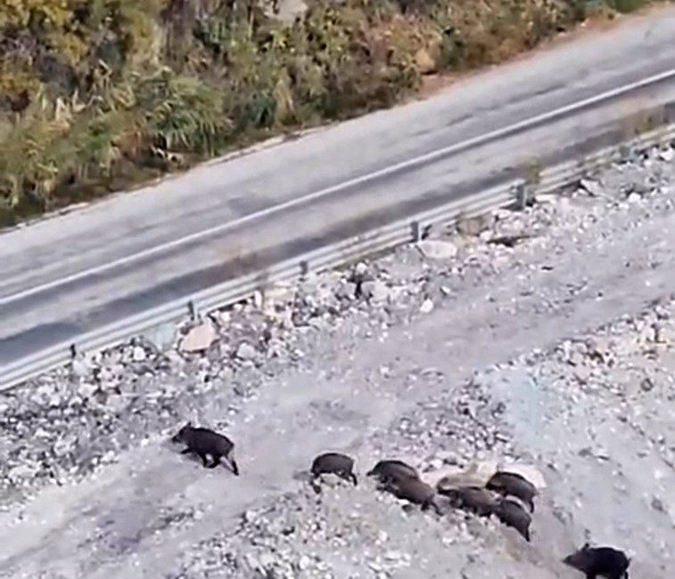 Hakkari’nin Yüksekova-Van kara yolu üzerinde yer alan Dibekli köyü yolunda