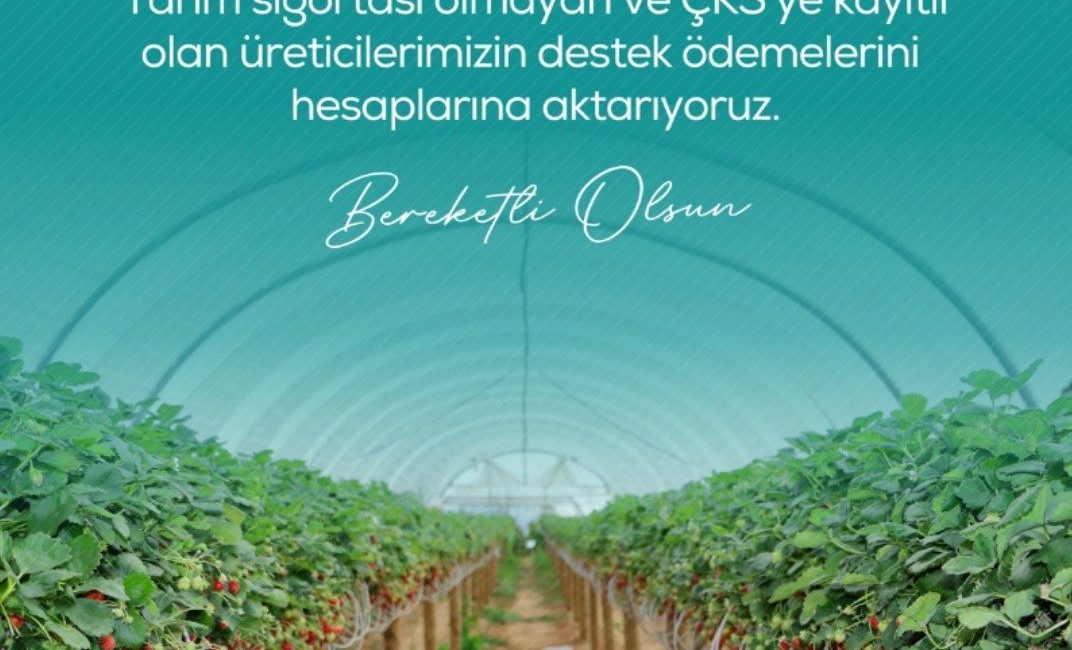 Tarım ve Orman Bakanı İbrahim Yumaklı, zirai dondan etkilenen çiftçilere