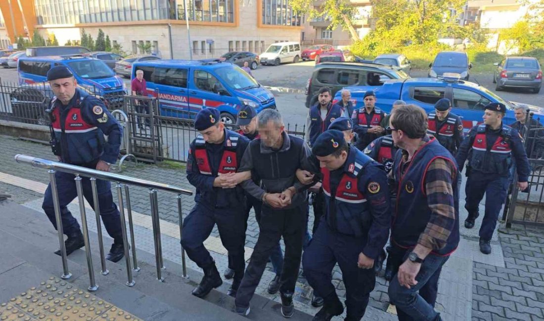 Zonguldak’ın Karadeniz Ereğli ilçesine bağlı Yalnızçam köyünde 2012 yılında işlenen