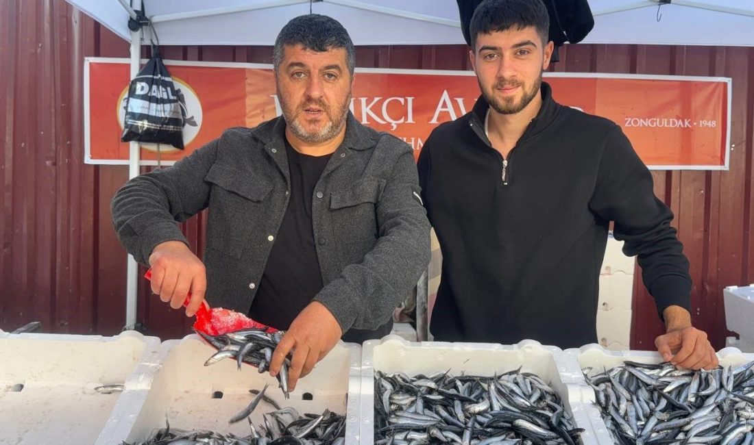 Zonguldak’ta balık tezgahlarında hamsinin kilosu, avın bol olmasıyla birlikte 75