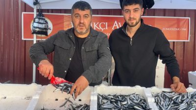 Zonguldak’ta balık tezgahlarında hamsinin kilosu, avın bol olmasıyla birlikte 75